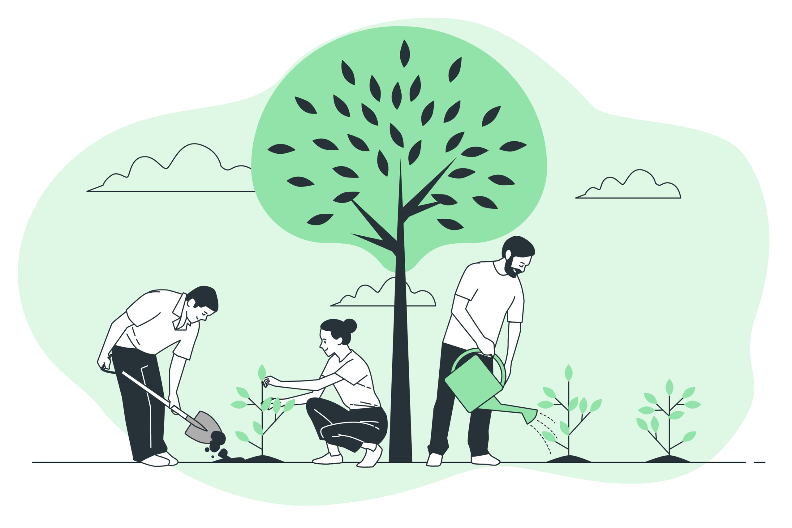 Illustration of people planting and watering trees